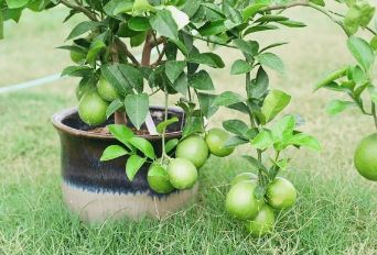 Screenshot 2026-04-01 100752.png