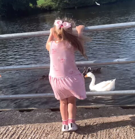 Printscreen / Instagram / mrscmcguinness.jpg