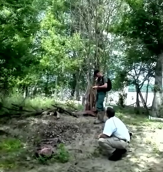 plitki grob