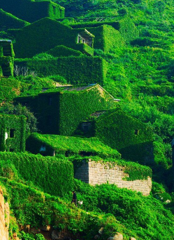 sengsen-kina.jpg