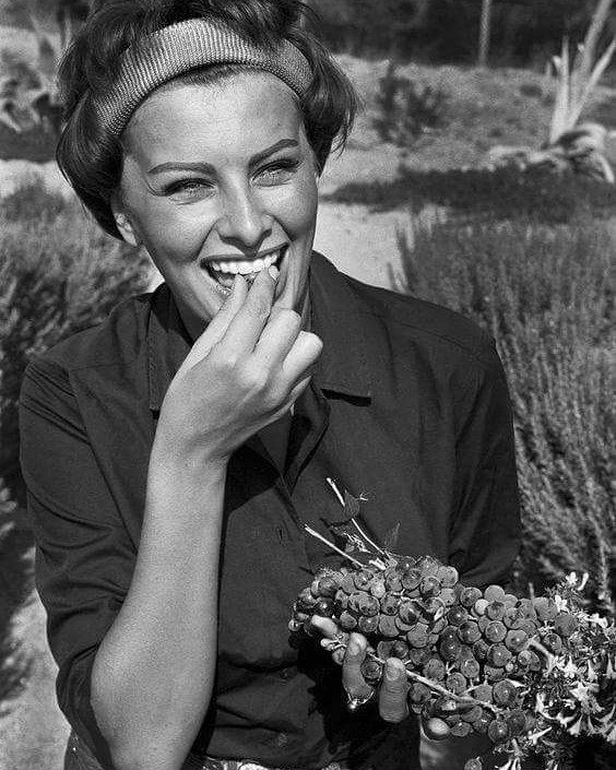 sofija-loren.jpg