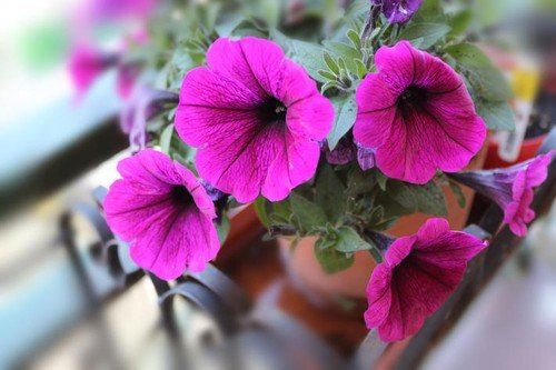 profimedia0423804395.jpg