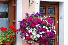 shutterstock-83066911.jpg
