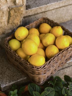 citrusno-voce--stockphotowickerbasketfullofripeyellowlemonsontheitalianstreetadvertisingforlemonjuicefruits2040630896.jpg