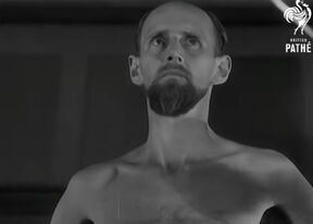 mirin dajos.png