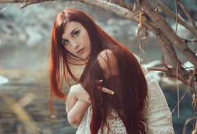 shutterstock-493916623.jpg
