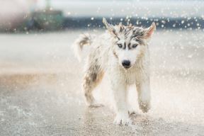 shutterstock-410087419.jpg