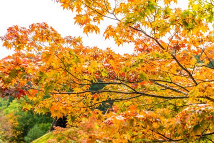shutterstock-1701859198.jpg