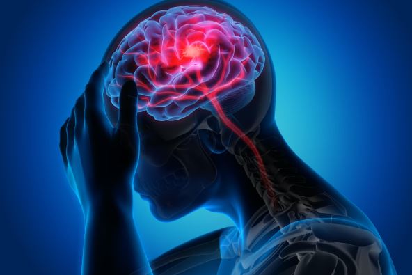shutterstock-1423084877.jpg