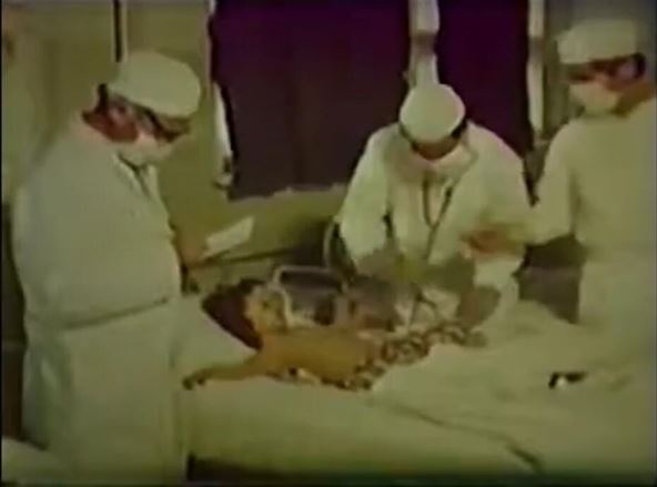 variola-vera-pregled.jpg