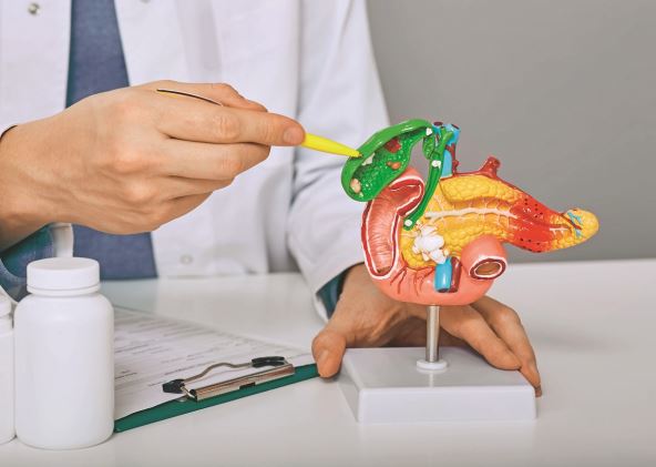 zuc-stockphototreatmentofgallbladderdiseasesandcholelithiasisdoctordemonstrationsgallbladderon2120328935.jpg