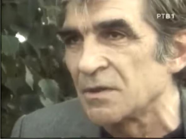Mika Antić